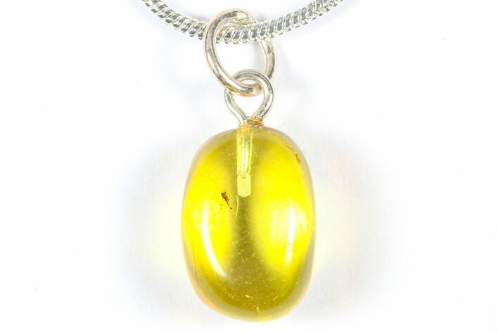 Polished Baltic Amber Pendant (Necklace) - Contains Insect! #369015